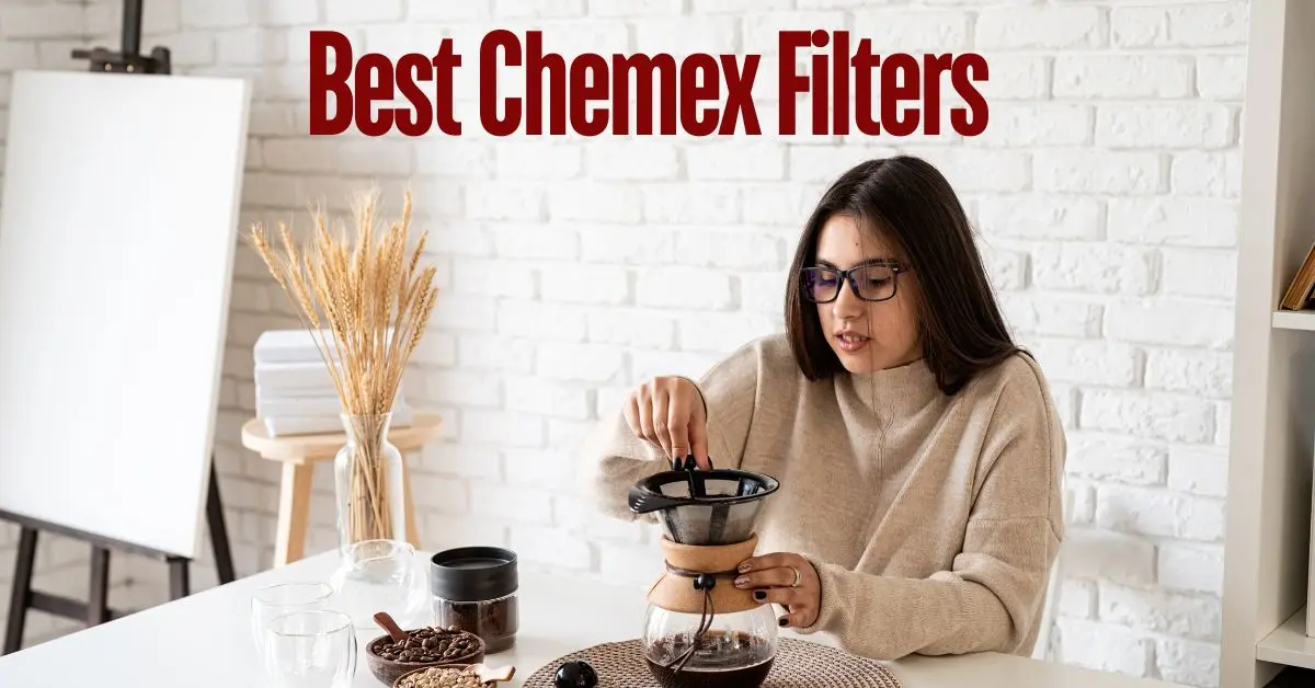 Best Chemex Filters