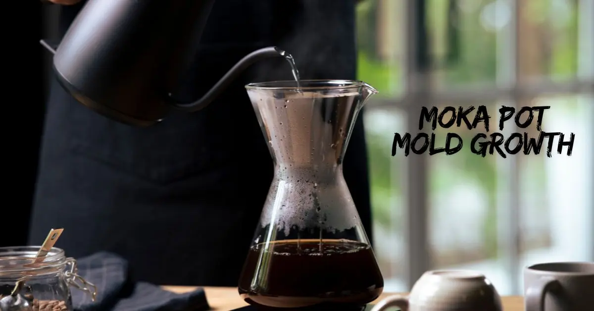 Moka Pot Mold growth