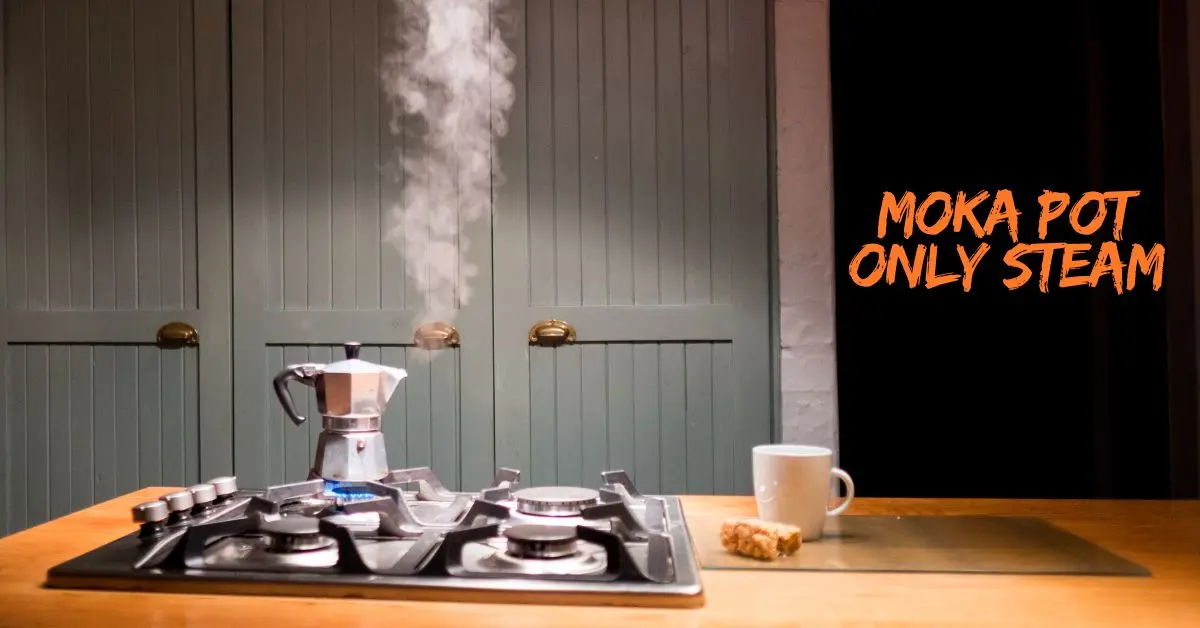 Moka Pot Only Steam